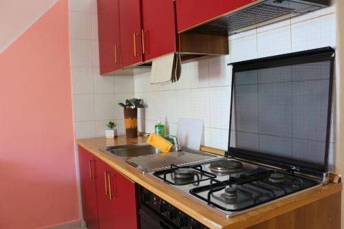 a kitchen with a stove and a sink and red cabinets at Villaggio Portorosa - La casetta tra le palme 14 in Torre Forte