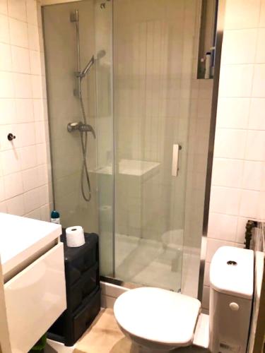 une salle de bain avec une douche avec des toilettes et un lavabo dans l'établissement a calm double bedroom in F3 chez l'habitant Paris14eme parc Montsouris, à Paris