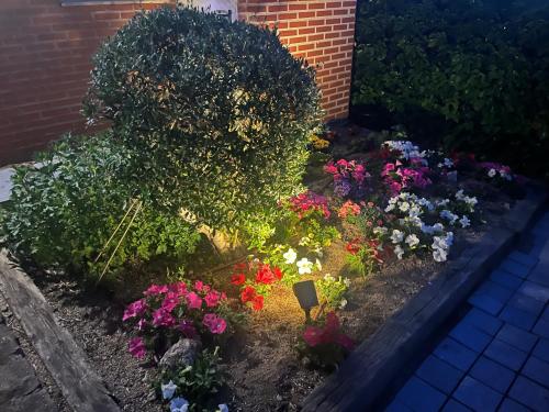 a garden of colorful flowers in a yard at Gorriones in Pelayos de la Presa