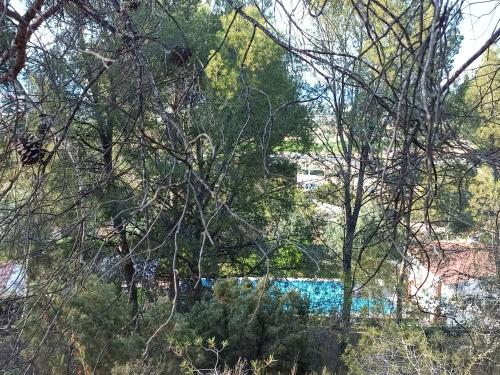 a view of a blue river through the trees at Buenas vistas y privacidad, tranquila y fresca villa en el bosque de Valencia con una magnífica piscina de 80m2 in Lliria