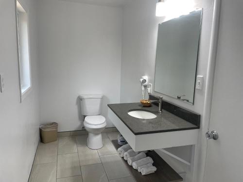Ένα μπάνιο στο Lark Motel Willits