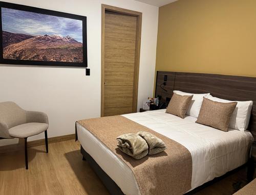 a bedroom with a bed and a chair and a mountain at Entrenevados Hotel in Ipiales