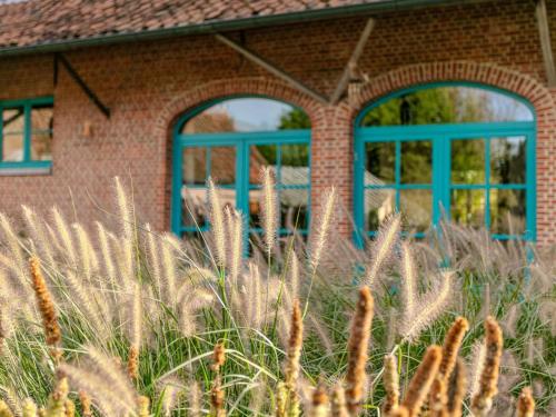 a brick building with blue windows and tall grass at Alverwege 2 in Baerle Heide