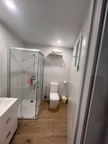 a bathroom with a shower and a white toilet at Apartamento Isabel in Ardales