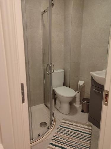 a bathroom with a shower and a toilet and a rug at The Temple Bar Loft in Dublin