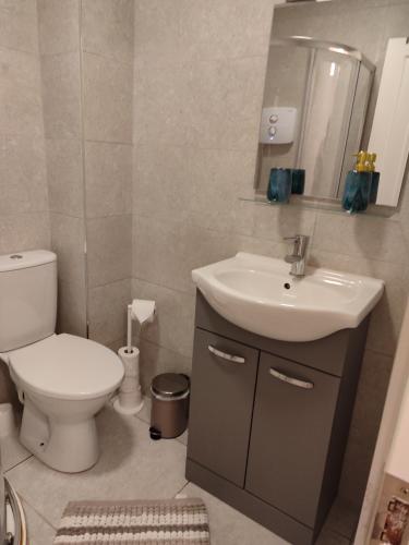 a bathroom with a toilet and a sink at The Temple Bar Loft in Dublin