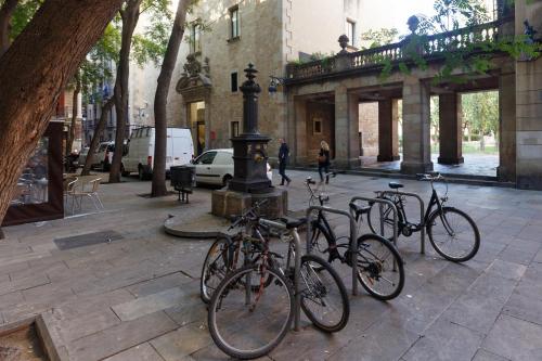 Jazda na bicykli v okolí ubytovania Pensión Teruel