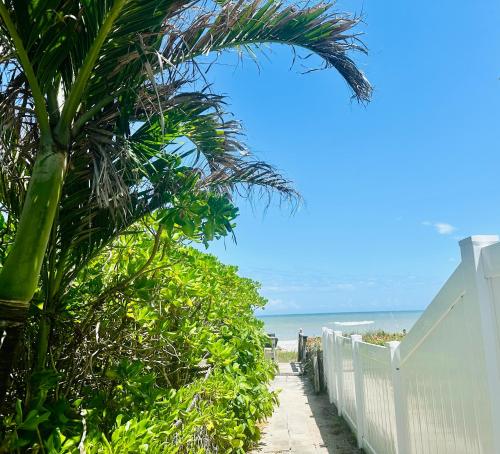 a palm tree next to a white fence and the ocean at Steps to the Sand - Private Beach Access & BBQ Grill in Indialantic
