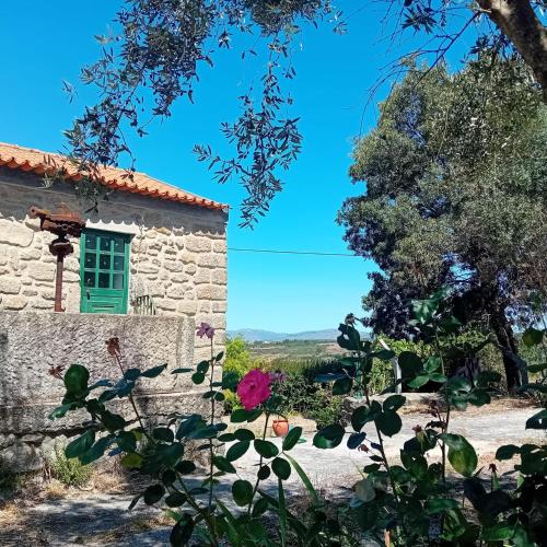 an old stone house with a green window at Rustic Terrace2 Bedrooms Farm House in Mesquitela