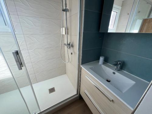 une salle de bain avec douche et lavabo dans l'établissement Seignosse : Appartement rénové à pied des plages avec climatisation - FR-1-239-1126, à Seignosse