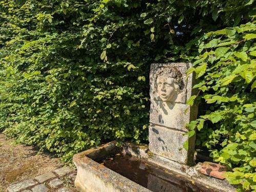 a statue of a head sitting in front of a bush at Manoir du 15ème siècle avec piscine dans le Parc Naturel Régional de la Brenne - FR-1-591-740 in Mauvières
