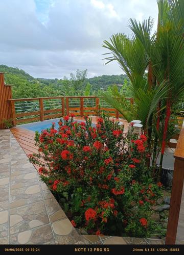 T-SYSSY LOFT au MARIN, SECTEUR GRAND SUD, EN PROXIMITE SAINTE ANNE ET DIRECTION DU VAUCLIN