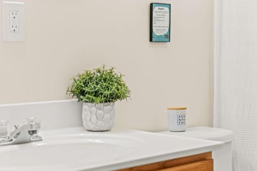 a bathroom sink with a potted plant on it at Tawny and Peaceful Game Room Firepit PatioDeck Workspace in Arrowhead Lake