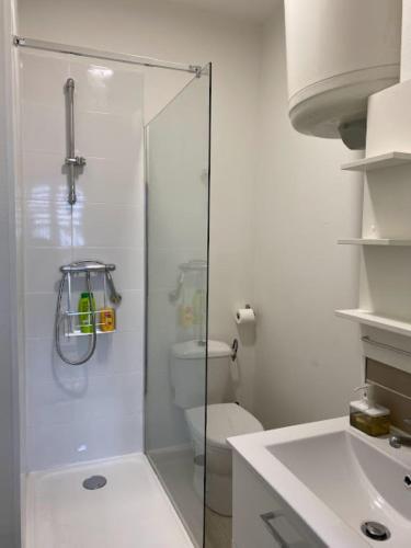 une salle de bain avec une douche, des toilettes et un lavabo dans l'établissement Vichy Coeur de Ville, à Vichy