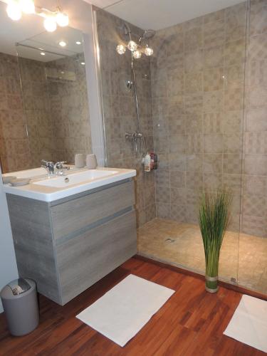 une salle de bain avec un lavabo et une douche dans l'établissement Le Mouleyras, à Saint-Montan