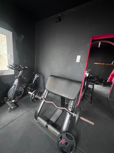 Фитнес-центр и/или тренажеры в Dionisia sunshine view house with gym