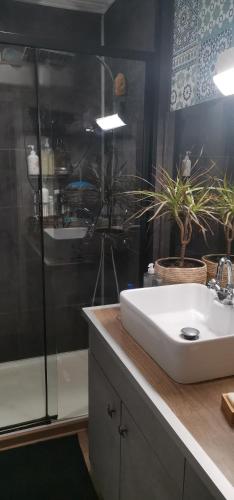 une salle de bain avec un lavabo blanc et une douche dans l'établissement App centre 200m plage, à Fréjus