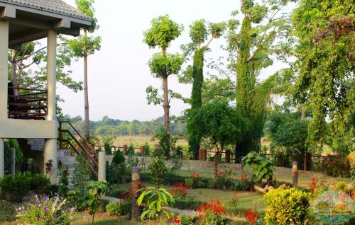 Jardin de l'établissement River View Jungle Camp