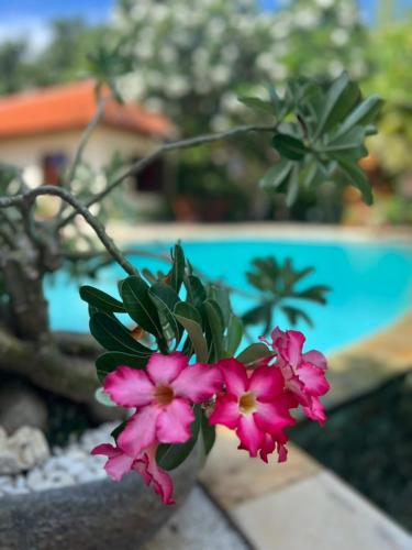 a pink flower in a vase next to a pool at Beachfront Villa Jepun Segara in Banjar