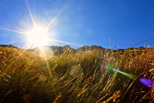 a field of tall grass with the sun in the sky at Apartments Kvasničník in Demanovska Dolina