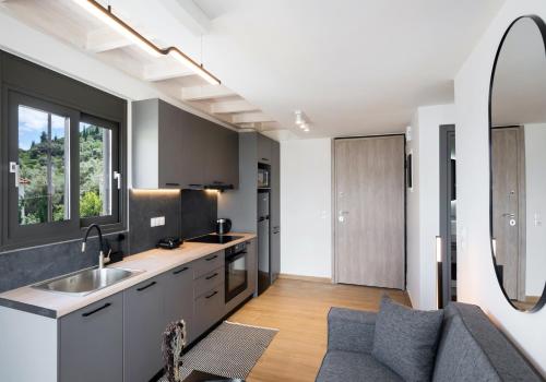eine Küche mit Spüle und Couch in der Unterkunft Pillow Apartments in Nikiana