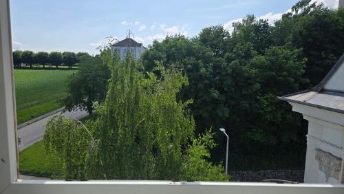 a view from a window of a house with a tree at FREE Parking, Nespresso, Netflix in Wels