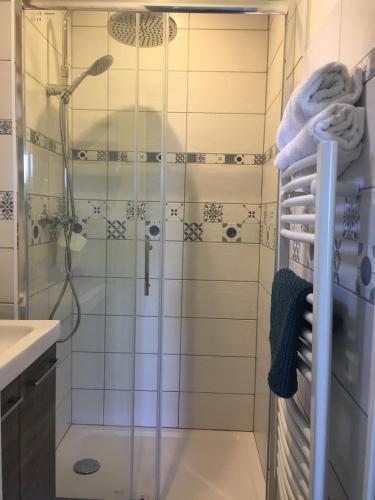 une salle de bain avec une douche avec une porte vitrée dans l'établissement Maison Chez Loulou, à Léon