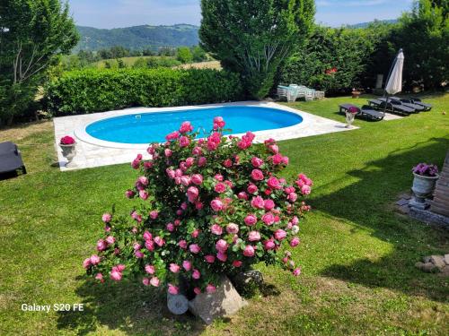 a bush with pink flowers next to a swimming pool at Il Castelletto di Gomo in Godiasco