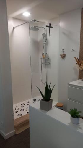 La salle de bains est pourvue d'une douche avec une plante. dans l'établissement Rabbit House - La Chambre d'hôtes, à Singleyrac