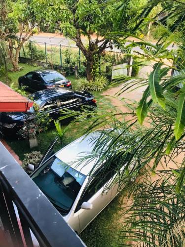 Zahrada ubytování Jungle View Resort