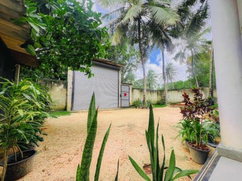 a yard with plants in front of a building at Azure Stay in Kurunegala