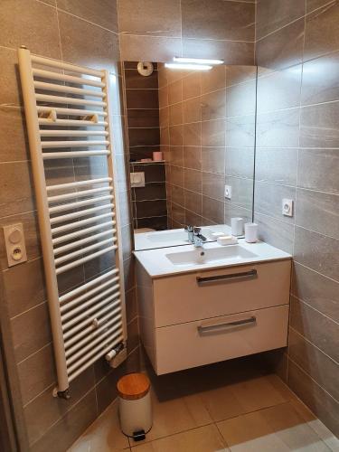 une salle de bain avec un lavabo et un miroir dans l'établissement Croisse Baulet Pied des pistes Parking 3 épis, à La Giettaz