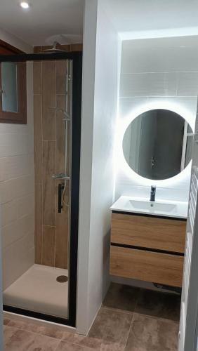 une salle de bain avec un lavabo et une douche avec un miroir dans l'établissement Residence l 'agora, à Vaux-sur-Mer