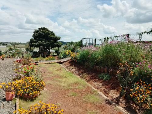 un giardino pieno di diversi tipi di fiori di Beautiful Lake Side Home a Eldoret