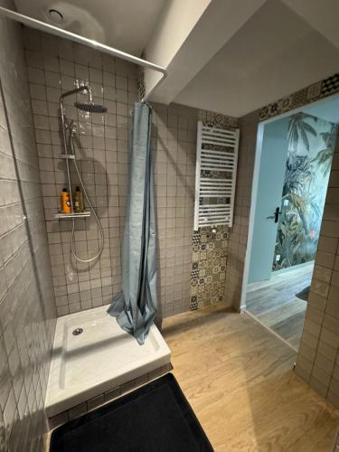 une salle de bain avec une douche avec un rideau de douche dans l'établissement Appartement, terrasse de plain-pied, à Plounéventer