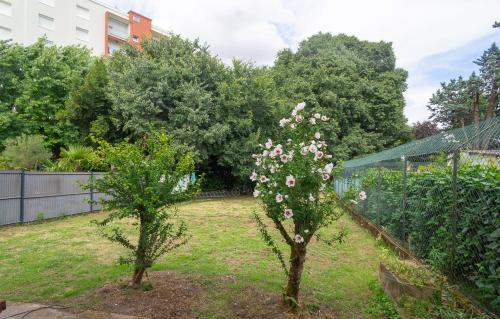 Deux arbres avec des fleurs roses dans une cour dans l'établissement Maison meublé avec jardin, à Talence