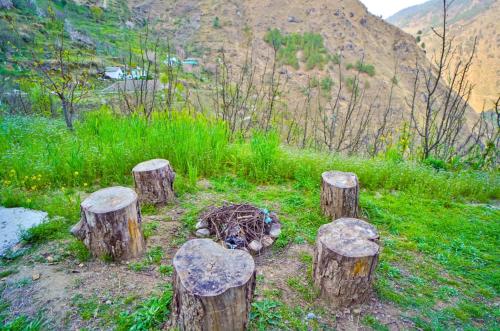 a group of tree stumps in the middle of a field at Apple Blush Retreat - Tirthan Valley in Gushaini