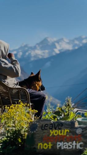 a man and a cat sitting on a bench with a view at Gaonvasi Homestay in Uttarkāshi