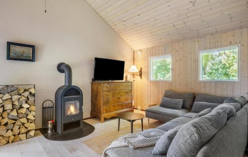 een woonkamer met een bank en een houtkachel bij Awesome Home In Slagelse With Wifi in Slagelse