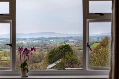 a window with a view of a field through it at Strongate View Apartment - cosy stylish rural Jurassic coast & Bridport nearby in Netherbury