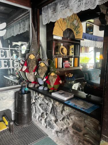 a group of stuffed birds sitting on a shelf at Hotel Edelweiss & SPA in Cesana Torinese