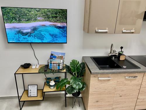 Kuchyň nebo kuchyňský kout v ubytování Loket Island