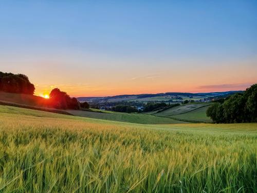 a field of wheat with the sunset in the background at Hotel Chrysantihof in Bad Birnbach