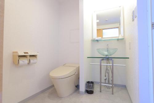 a bathroom with a toilet and a mirror at RE Hotel 谷町9丁目 in Osaka