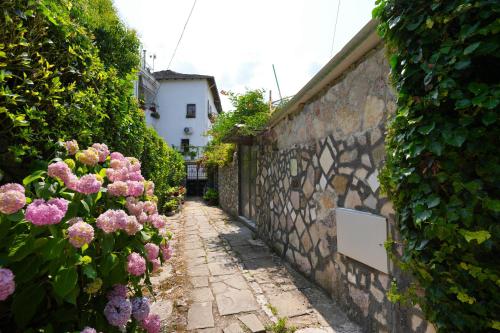 Zahrada ubytování Guesthouse Arber