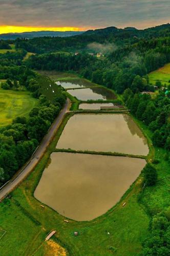 an aerial view of a group of water reservoirs at Zacisze Ośmiu Stawów Siekierczyna - The Quort of Eight Pounds 