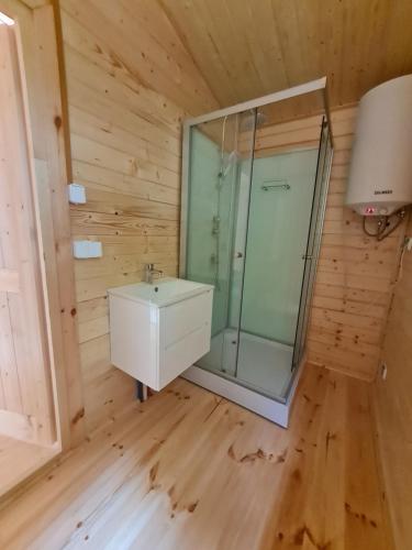 a bathroom with a sink and a glass shower at Pensjonacik Ogrody in Pierzchno