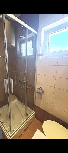 ein Badezimmer mit Dusche und Toilette in der Unterkunft Daniri in Sveti Filip i Jakov