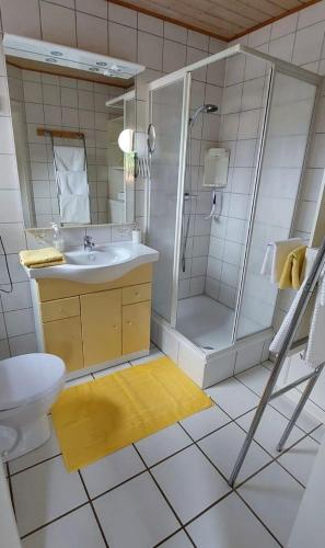a bathroom with a shower and a sink and a toilet at Ferienhaus am Rosengärtle - Black Forest - Forêt Noire in Kleines Wiesental