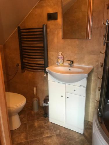a bathroom with a sink and a toilet at Pod Świerkami Smerek in Smerek